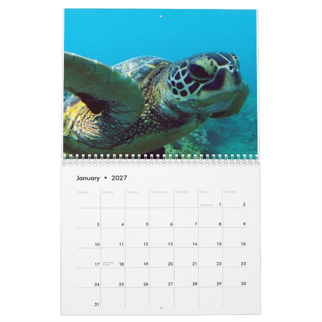 Hawaii Calendar (Jan 2027)