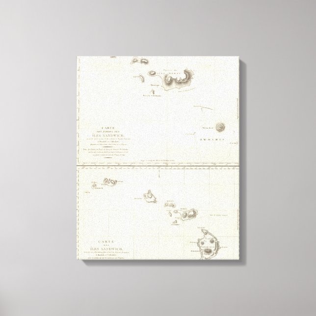 Hawaii Canvas Print (Front)