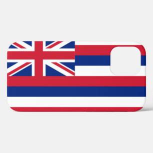 Hawaii iPhone 12 Pro Case