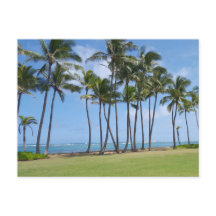 Hawaii Coast Postcard