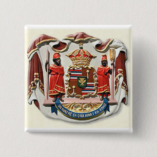 Hawaii coat of arms seal 15 cm square badge