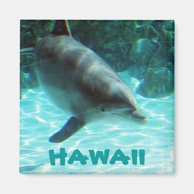 Hawaii Dolphin Magnet (Front)