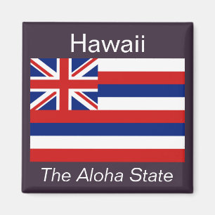 Hawaii Flag Magnet