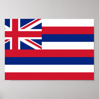 Hawaii Flag Poster