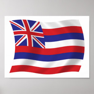 Hawaii Flag Poster Print
