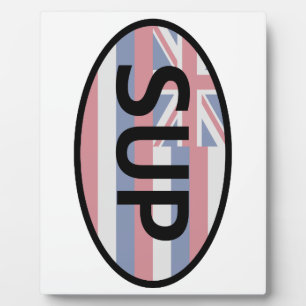 Hawaii Flag Standup Paddling Plaque