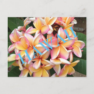 Hawaii Flowers for all Postcard