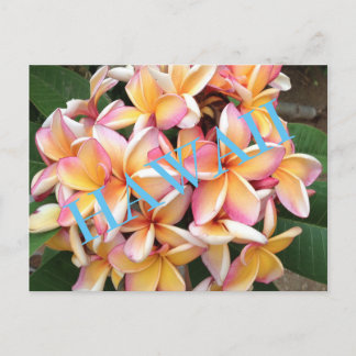 Hawaii Flowers for all Postcard