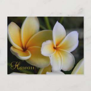 Hawaii Flowers Postcard