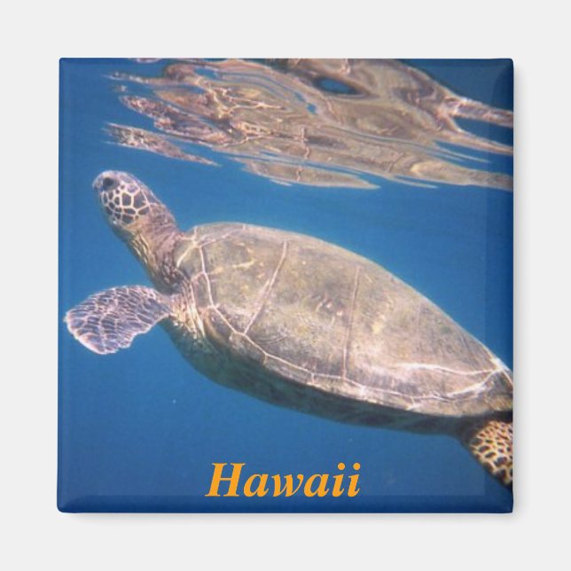 hawaii fridge magnet (Front)