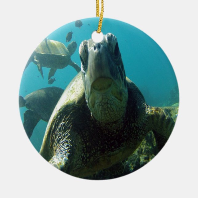 Hawaii Green Sea Turtle Ceramic Tree Decoration (Front)