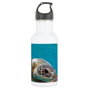 Hawaii Green Sea Turtle - Honu 532 Ml Water Bottle