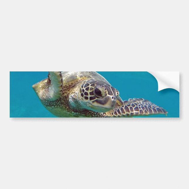 Hawaii Green Sea Turtle - Honu Bumper Sticker (Front)