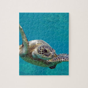 Hawaii Green Sea Turtle - Honu Jigsaw Puzzle