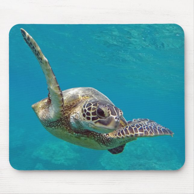 Hawaii Green Sea Turtle - Honu Mouse Mat (Front)