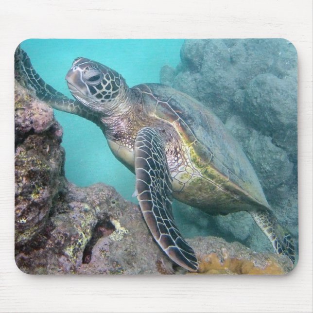 Hawaii Green Sea Turtle Mouse Mat (Front)