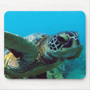 Hawaii Green Sea Turtle Mouse Mat