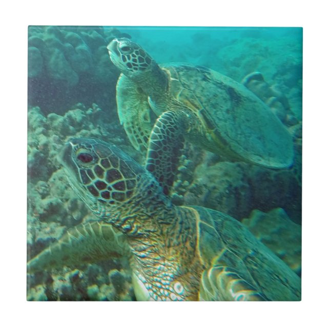 Hawaii Green Sea Turtles Tile (Front)