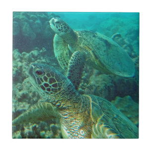 Hawaii Green Sea Turtles Tile