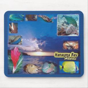 Hawaii Hanauma Bay Marine Life Mouse Mat