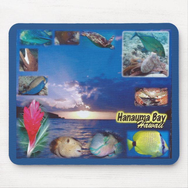 Hawaii Hanauma Bay Marine Life Mouse Mat (Front)