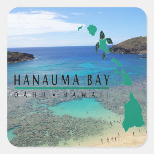 Hawaii Hanauma Bay Oahu Turtle Square Sticker