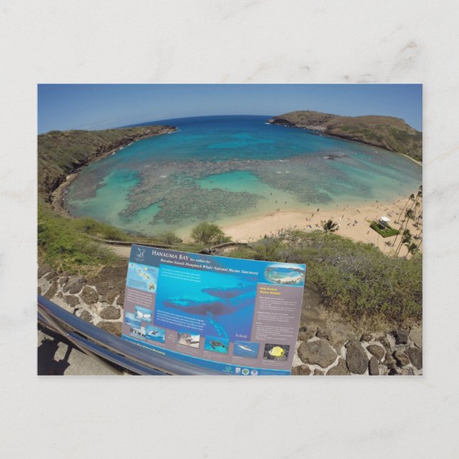 Hawaii Hanauma Bay Volcano Postcard (Front)