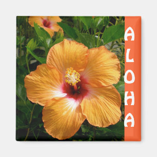 Hawaii Hibiscus Aloha Magnet