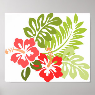Hawaii Hibiscus Flora Floral Flowers Blossoms Poster