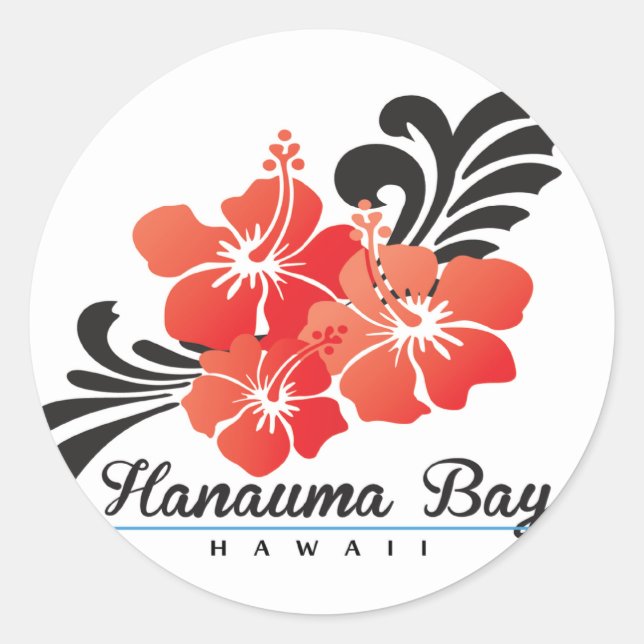 Hawaii Hibiscus Flowers Classic Round Sticker (Front)