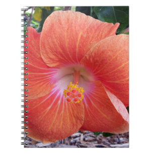 Hawaii Hibiscus Flowers Notebook