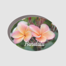 Hawaii Honolulu oval car magnet