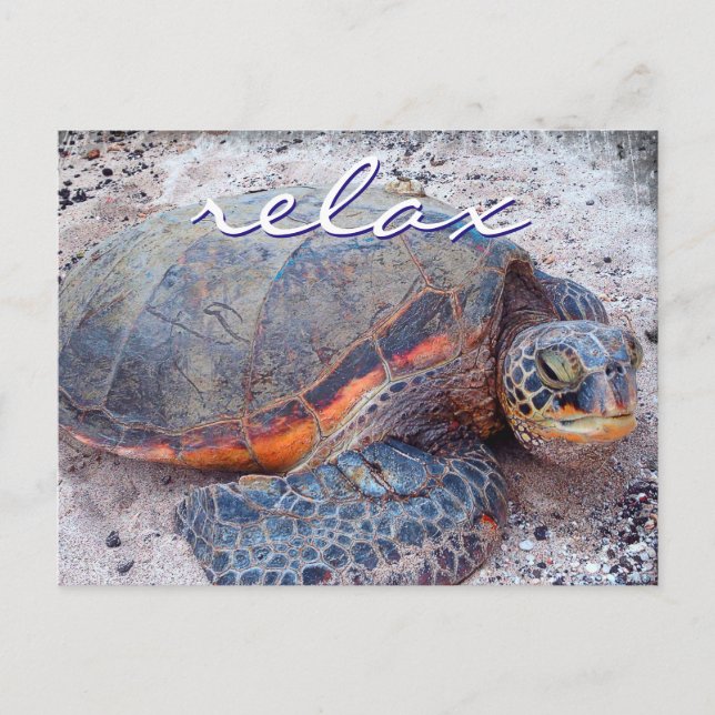 Hawaii honu sea turtle close-up photo Relax quote Postcard (Front)