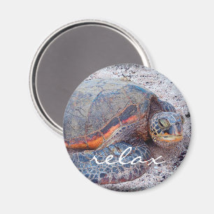 Hawaii honu tropical sea turtle photo relax script magnet
