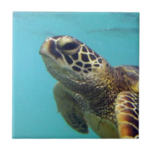 Hawaii Honu Turtle Tile