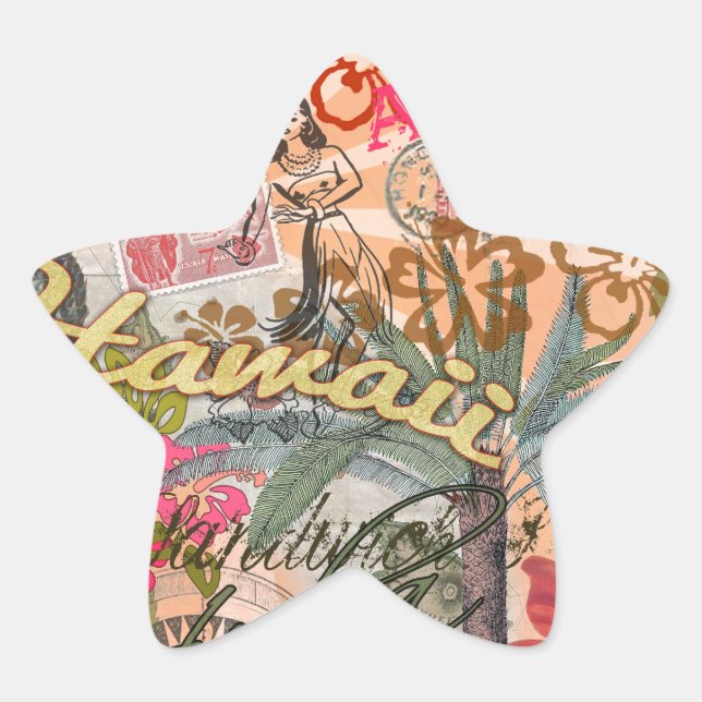 Hawaii Hula Travel Flower Vintage Star Sticker (Front)