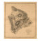 Hawaii Island, 1886, Vintage Hawaiian Map