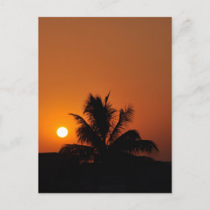 Hawaii Island Travel Tour Beach Sunset Palm Tree Postcard