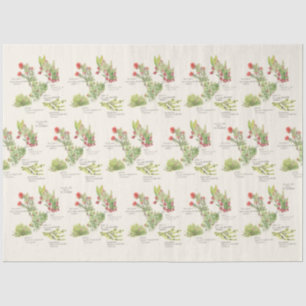 Hawai'i Island Volcano Native Plants Tissue Paper