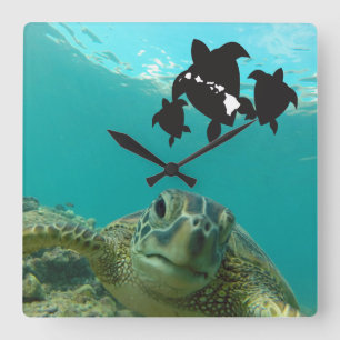Hawaii Islands Turtles Square Wall Clock