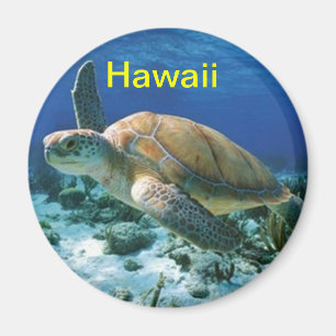 Hawaii magnet