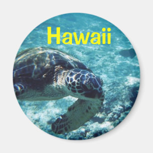 Hawaii magnet