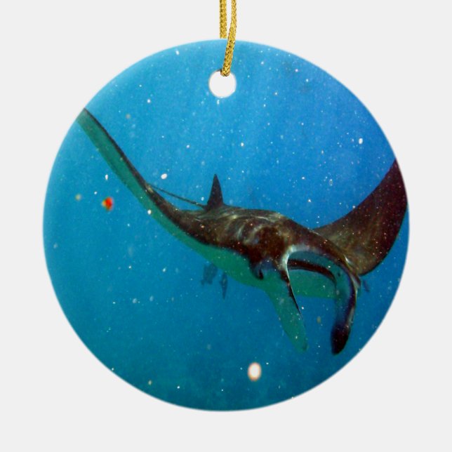 Hawaii Manta Ray Ceramic Tree Decoration (Front)