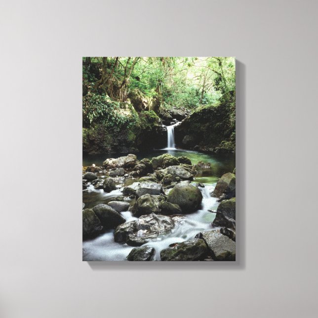 Hawaii, Maui, A waterfall flows into Blue Pool Canvas Print (Front)