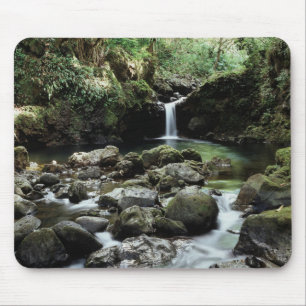 Hawaii, Maui, A waterfall flows into Blue Pool Mouse Mat