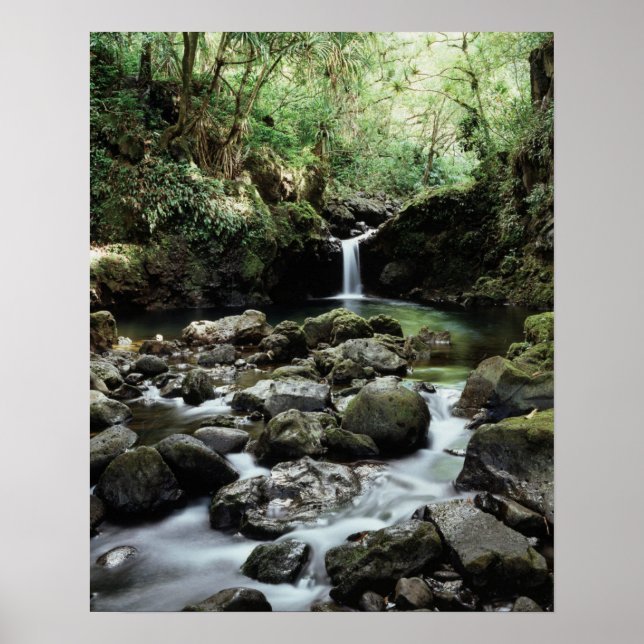 Hawaii, Maui, A waterfall flows into Blue Pool Poster (Front)
