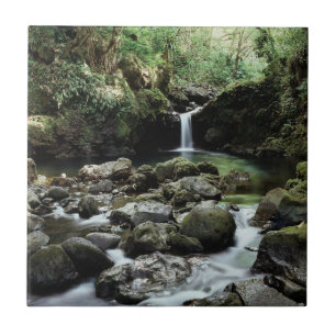Hawaii, Maui, A waterfall flows into Blue Pool Tile