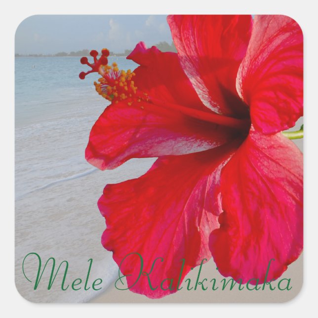 Hawaii Mele Kalikimaka Merry Christmas Square Sticker (Front)