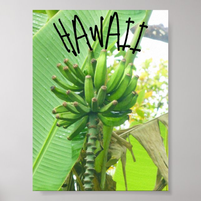 HAWAII NATURE POSTER (Front)