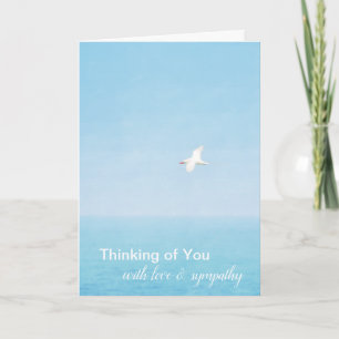 Hawaii Ocean Bird Flying   Card